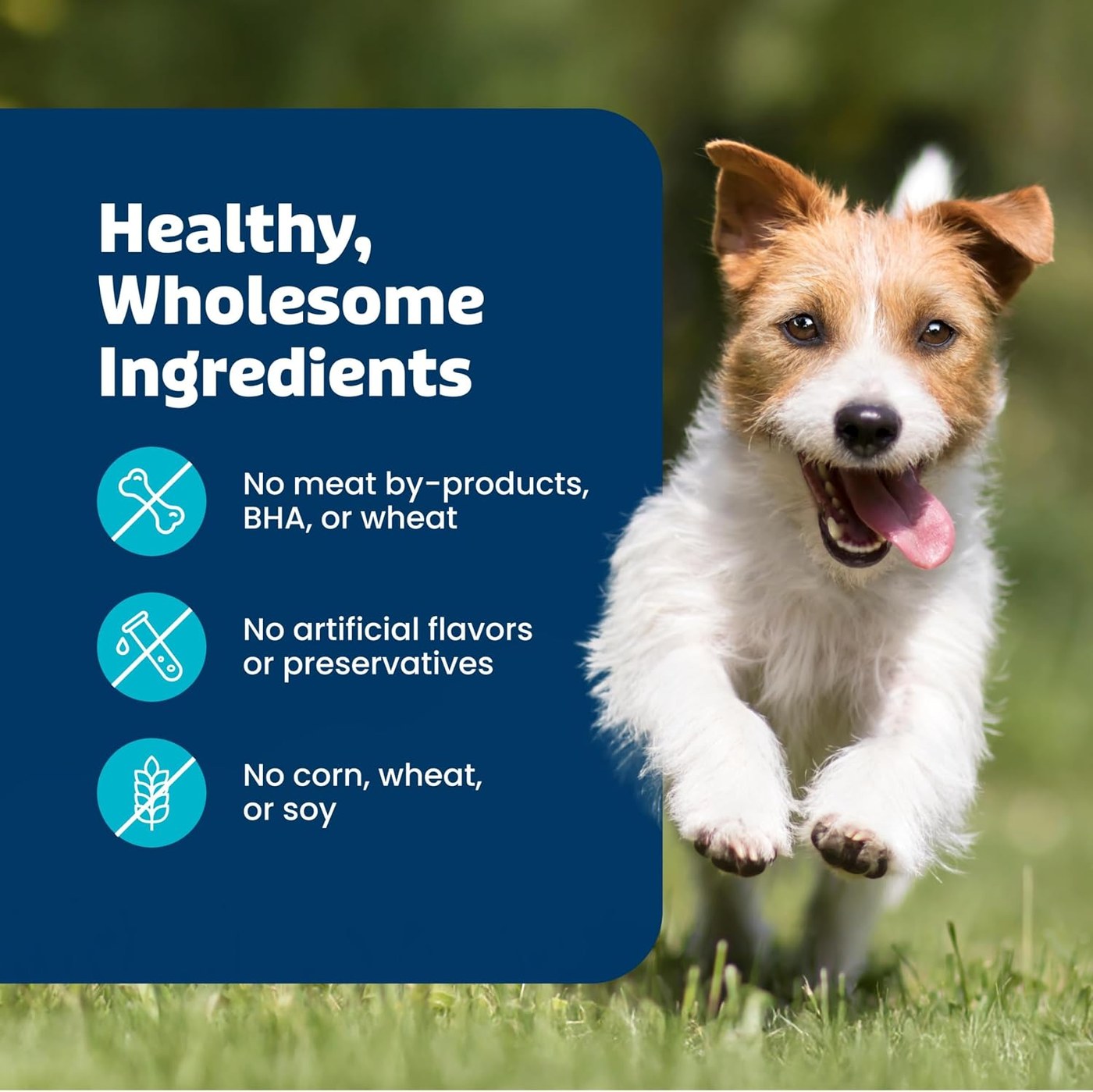 Blue Buffalo Health Bars Pumpkin & Cinnamon Crunchy Dog Biscuits product image
