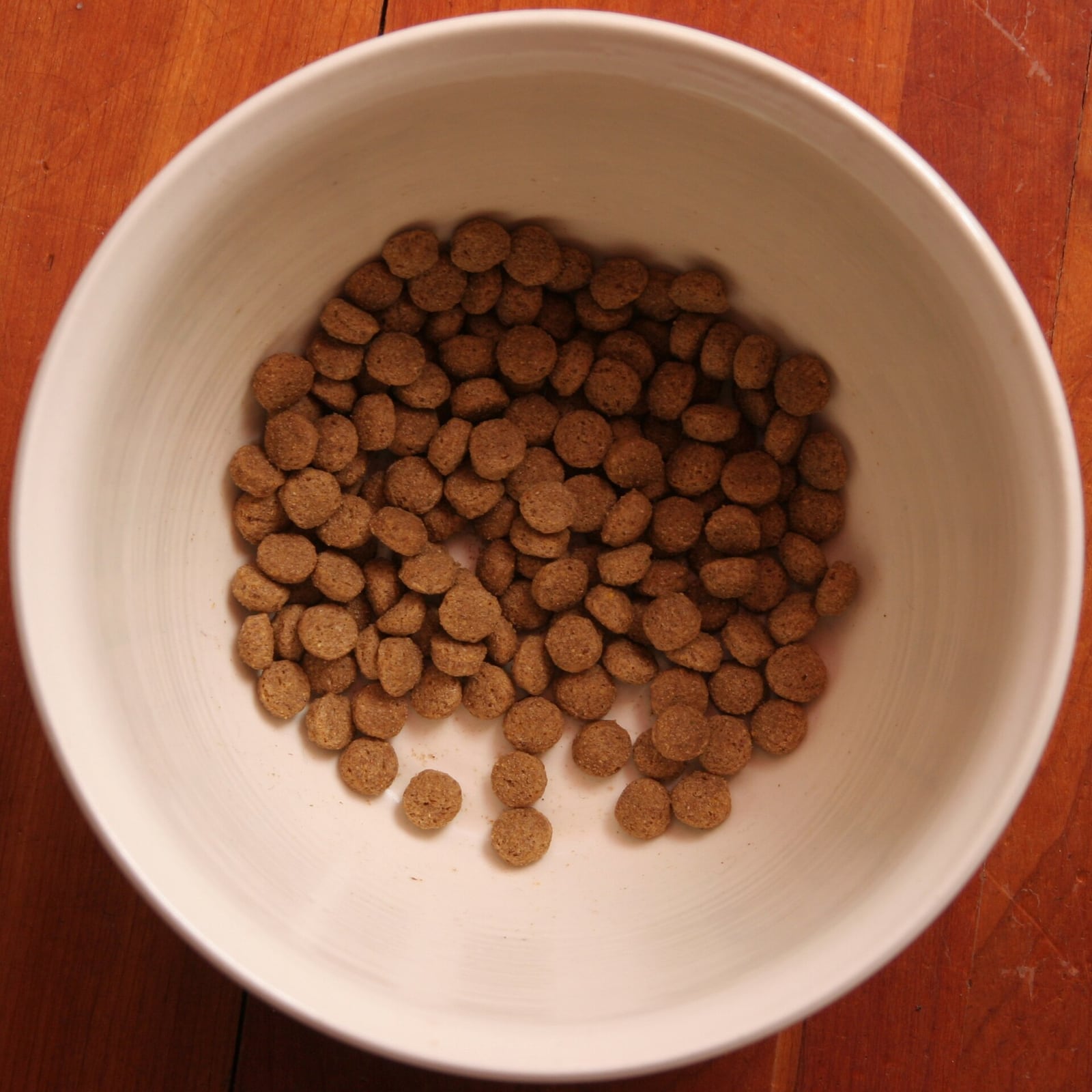 Healing herbs for dogs recovering from illness or injury