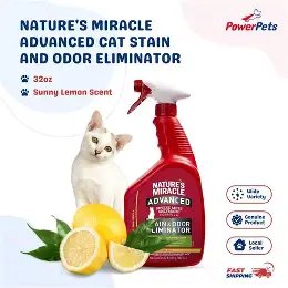 How to remove cat pee smell