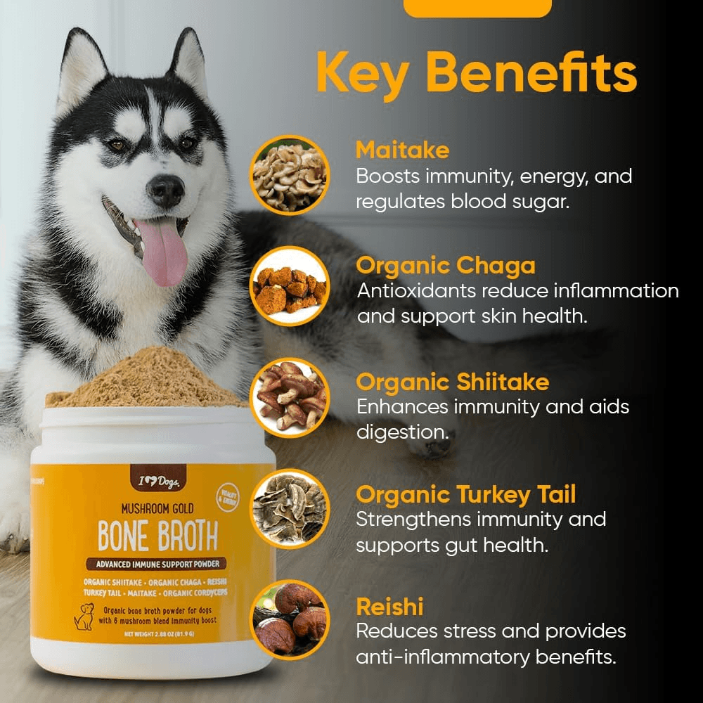 iHeartDogs Bone Broth & Turkey Tail Mushroom Powder Supplement for Dogs product detail 1
