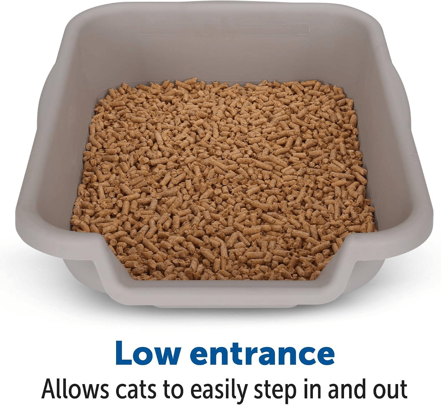 Large litter box with low front entrance and higher back wall