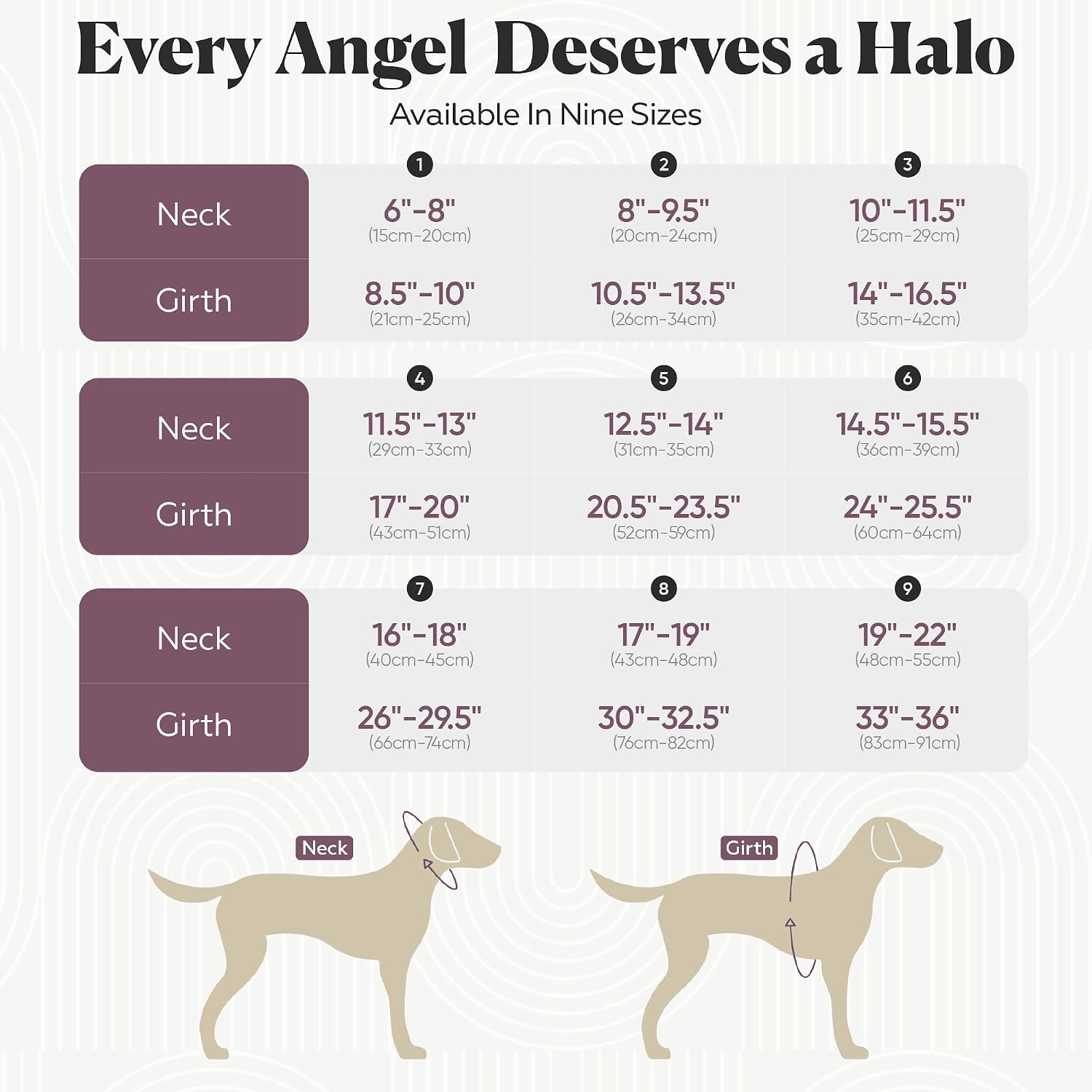 Muffin's Halo for Blind Dogs product detail 4