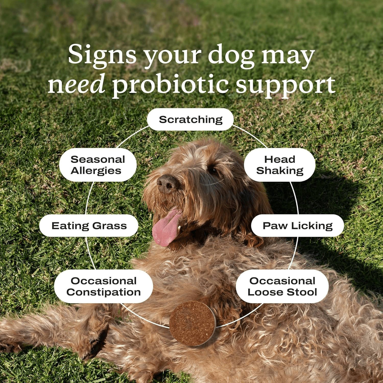 PetLab Co. Probiotic Chews for Dogs, 30 Soft Chews, Salmon product detail 1