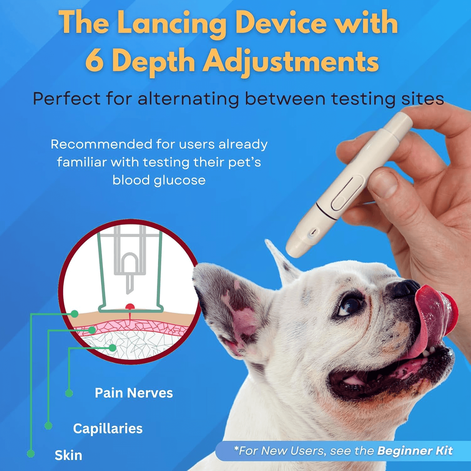 PetTest Expert Blood Glucose Monitoring Kit for Dogs and Cats product detail 3