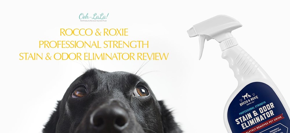 Rocco & Roxie Stain & Strong Odor Eliminator product image