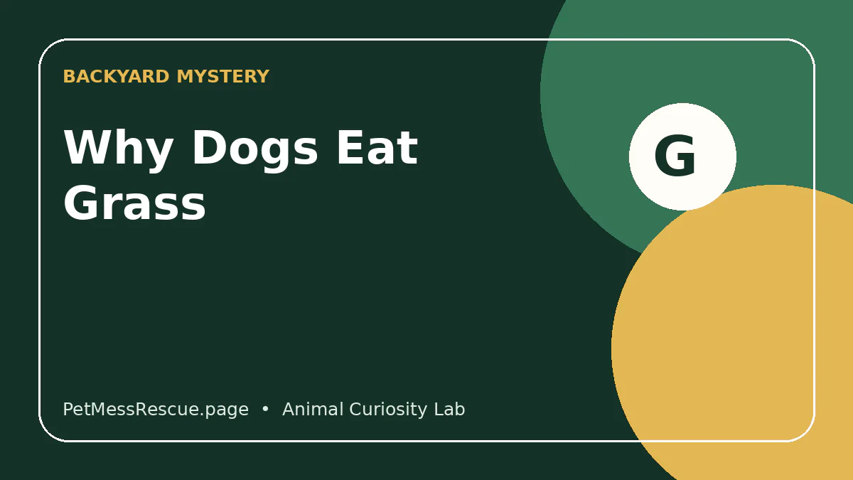 Contextual photograph of Why Do Dogs Eat Grass? Normal Grazing vs. Red Flags