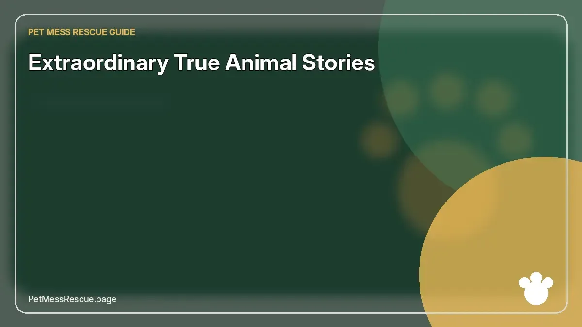 Contextual photograph of Extraordinary True Animal Stories