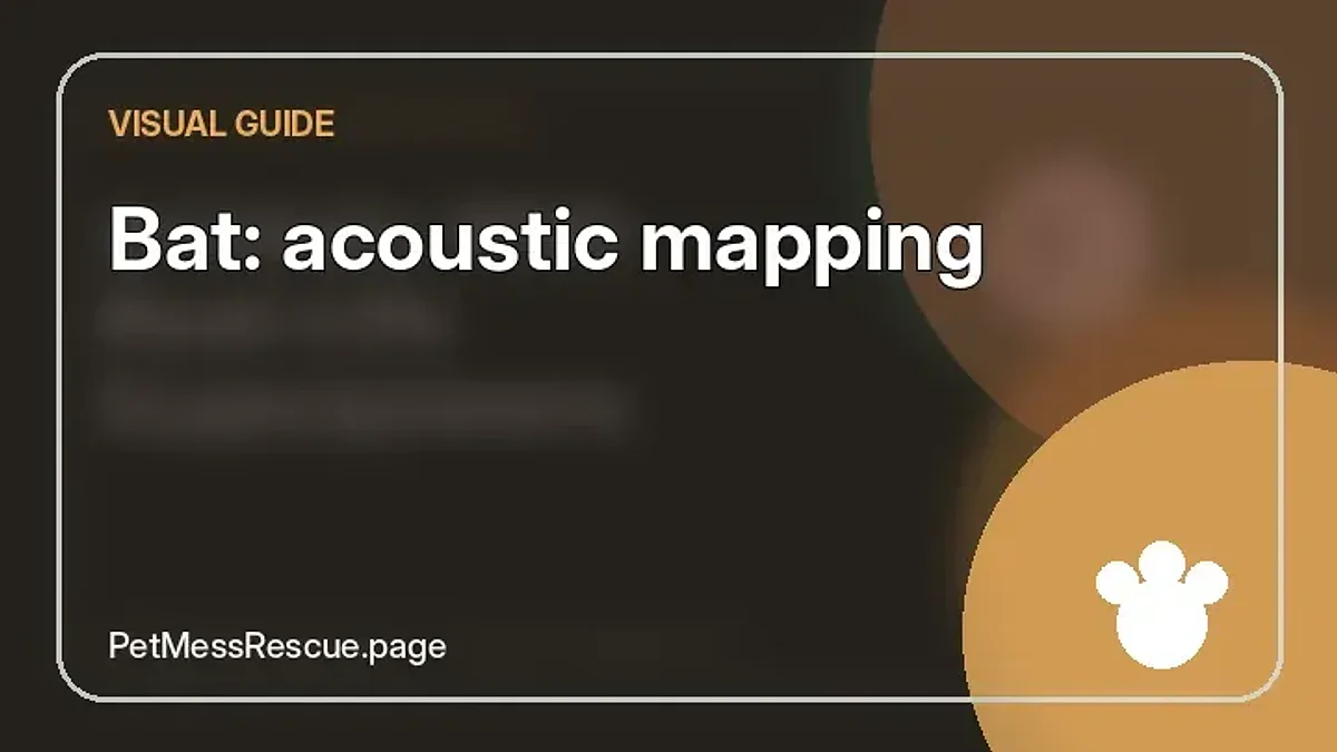 Contextual photograph of Bat: acoustic mapping