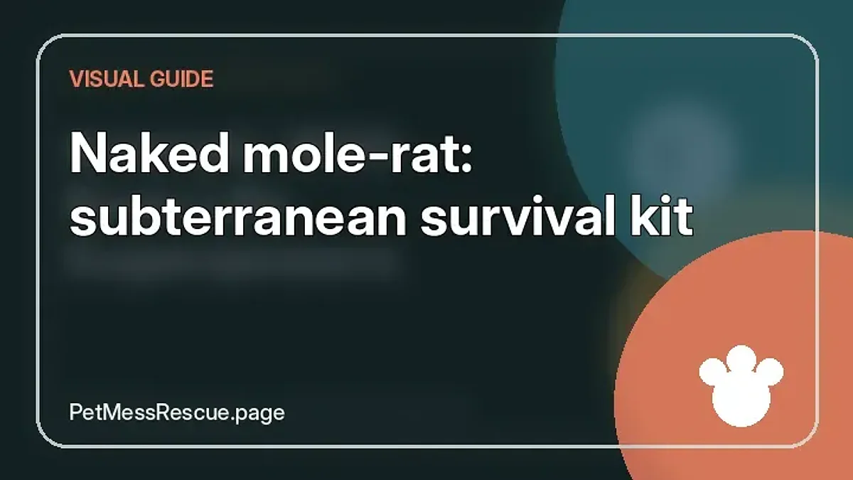 Contextual photograph of Naked mole-rat: subterranean survival kit