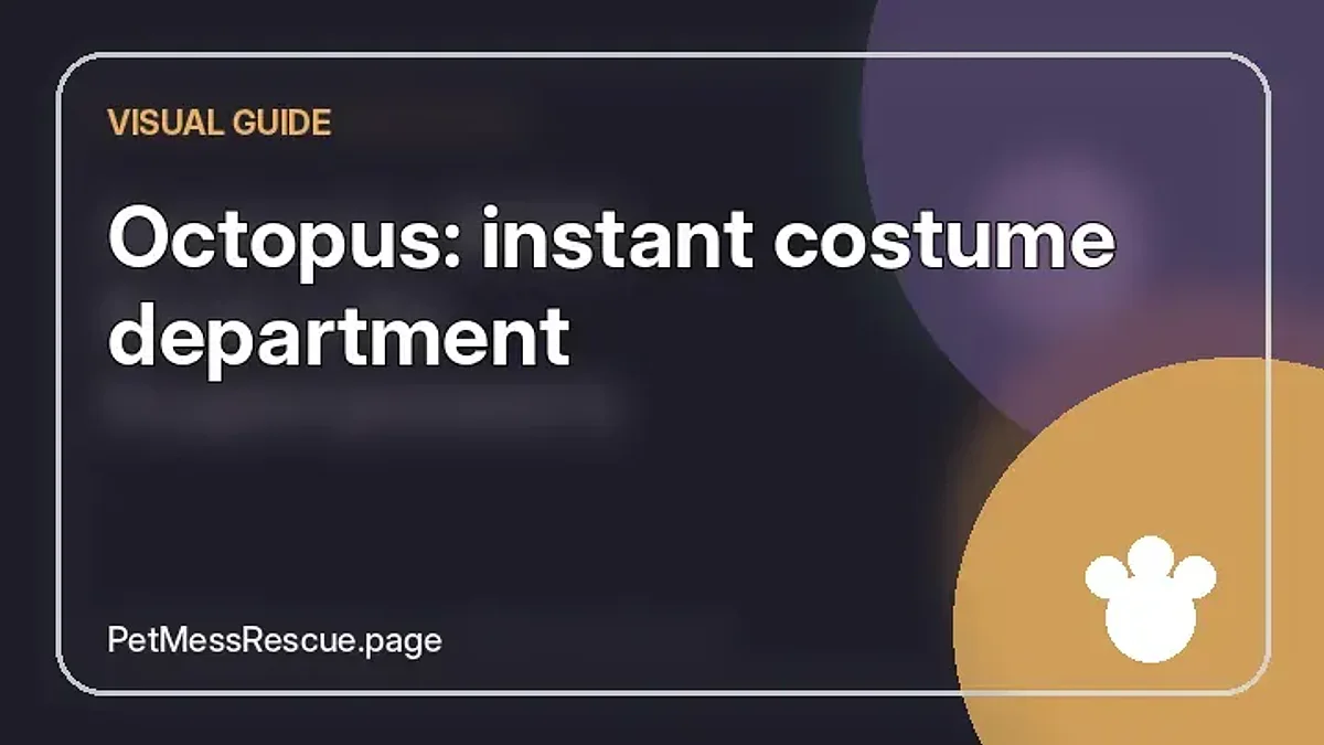 Contextual photograph of Octopus: instant costume department
