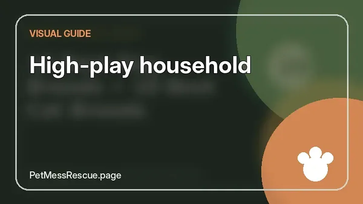 Contextual photograph of High-play household