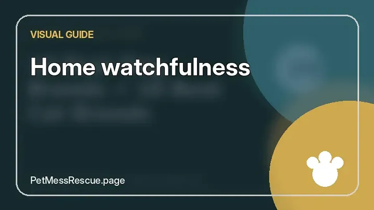 Contextual photograph of Home watchfulness