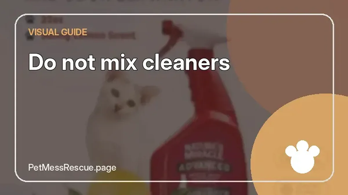 Contextual photograph of Do not mix cleaners