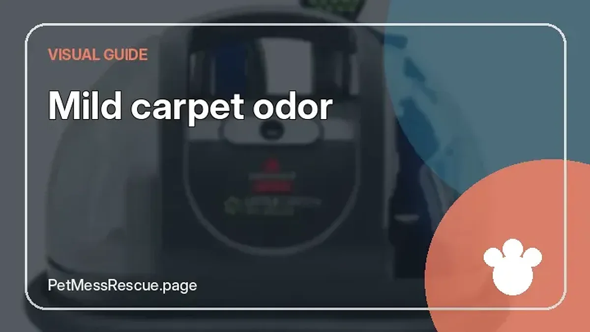 Contextual photograph of Mild carpet odor