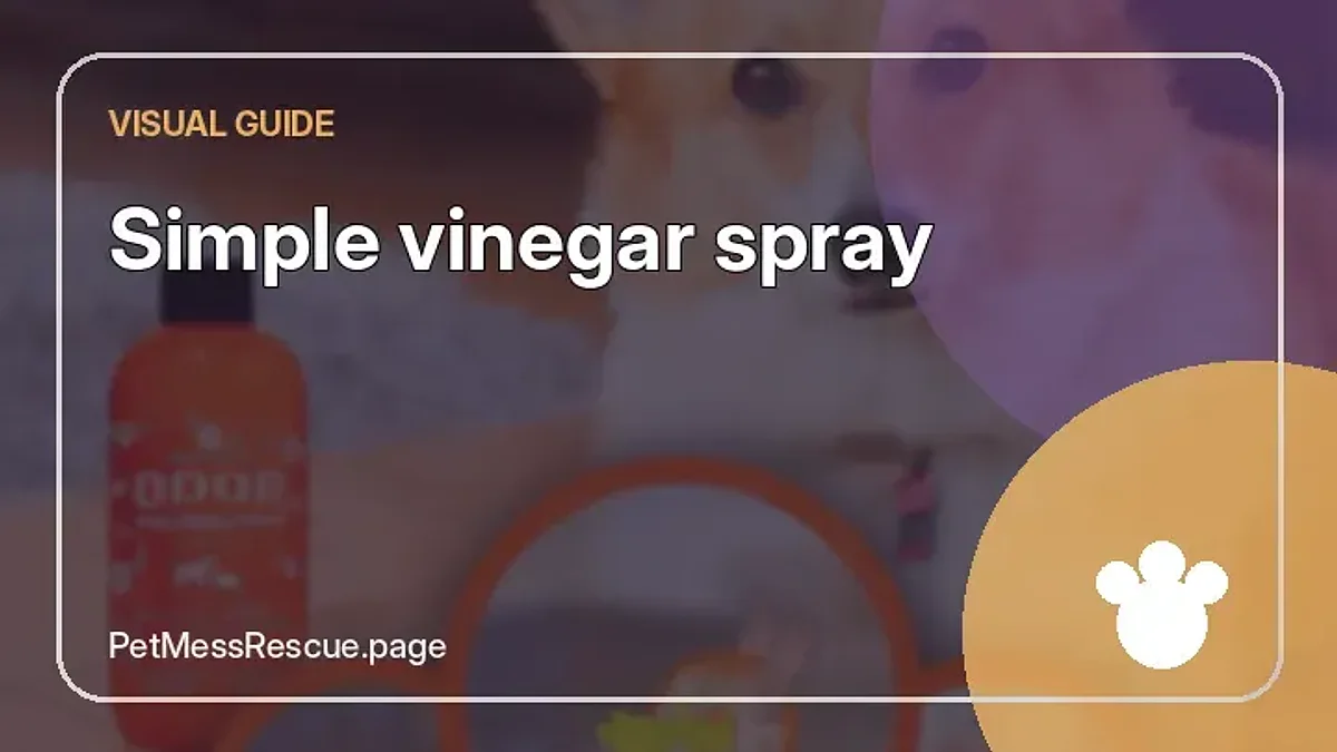 Contextual photograph of Simple vinegar spray