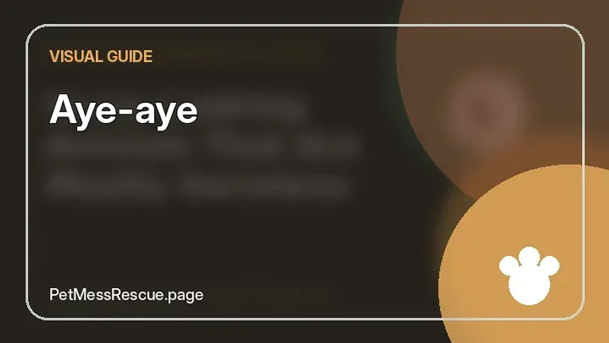 Contextual photograph of Aye-aye