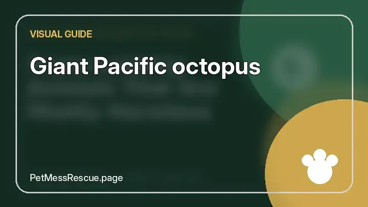 Contextual photograph of Giant Pacific octopus