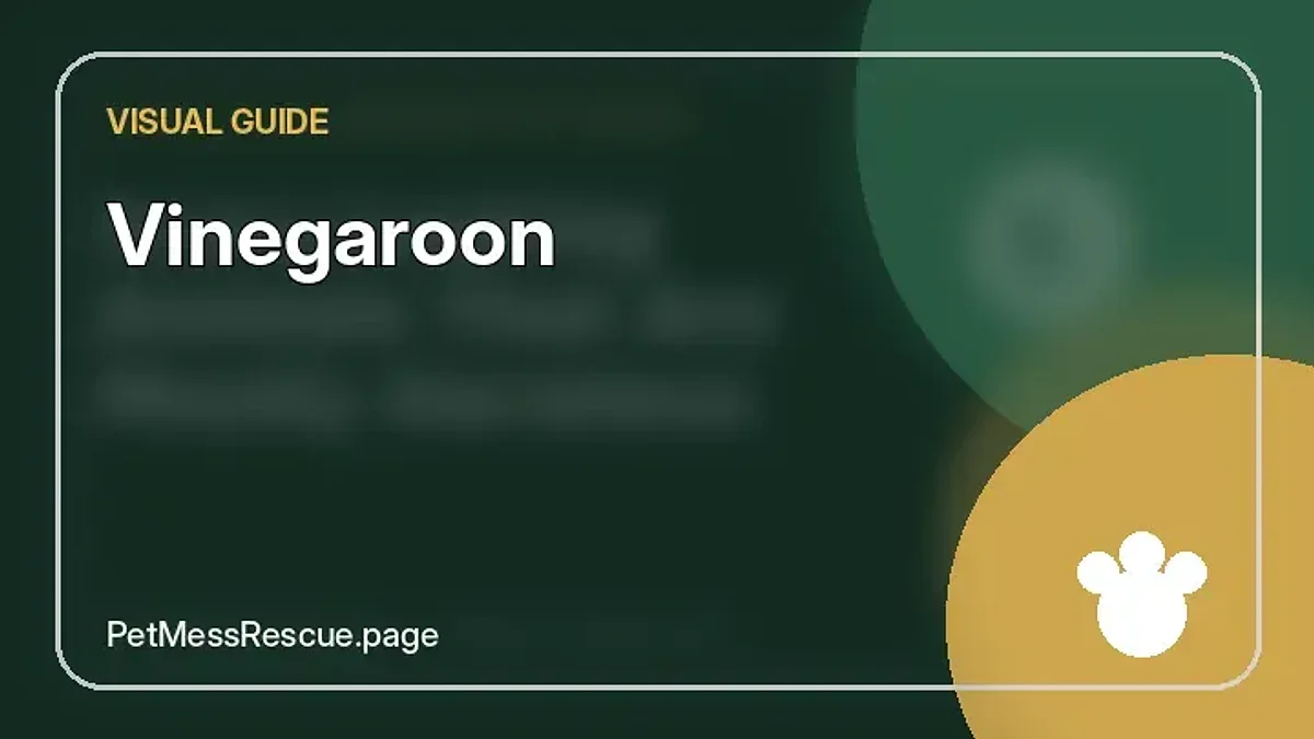 Contextual photograph of Vinegaroon