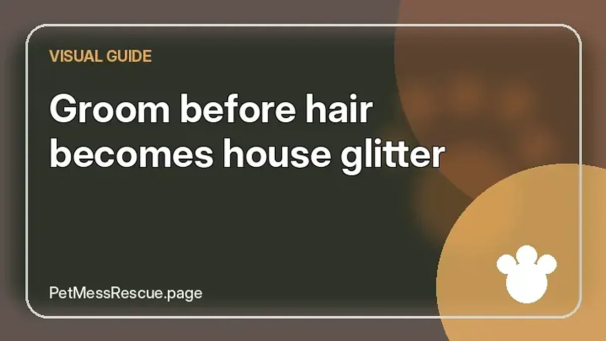 Contextual photograph of Groom before hair becomes house glitter
