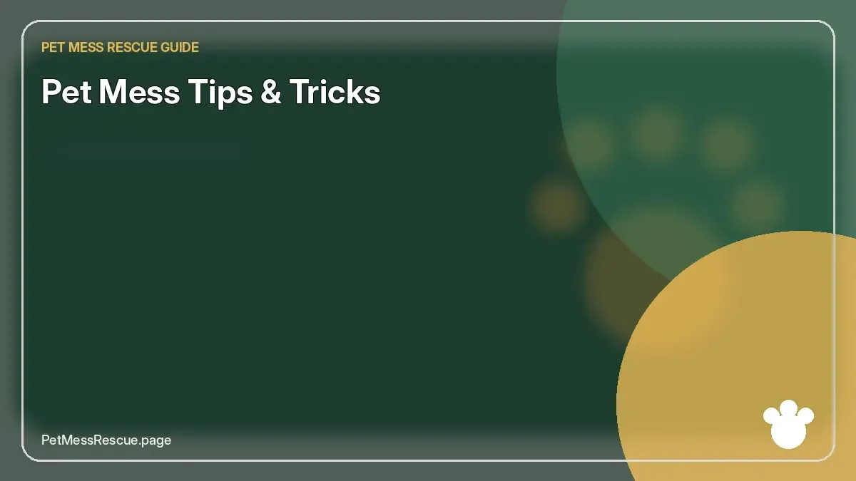 Contextual photograph of Pet Mess Tips & Tricks