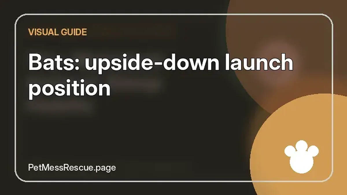 Contextual photograph of Bats: upside-down launch position