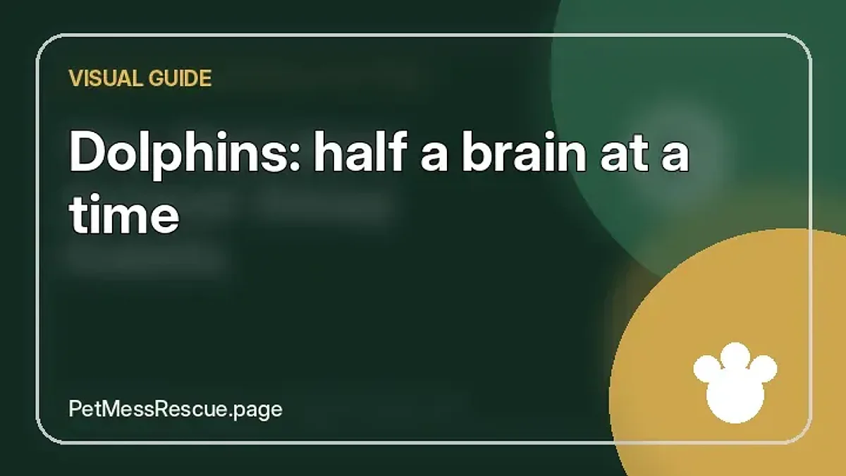 Contextual photograph of Dolphins: half a brain at a time