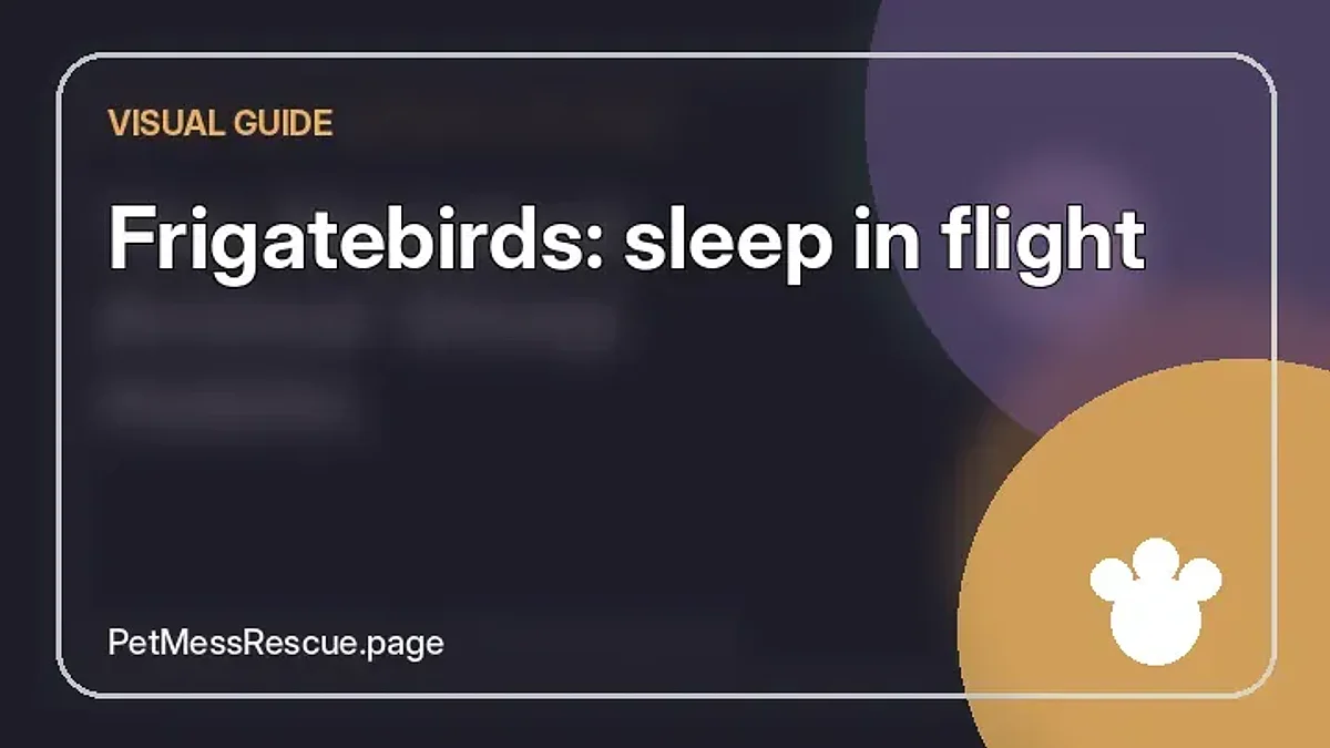 Contextual photograph of Frigatebirds: sleep in flight