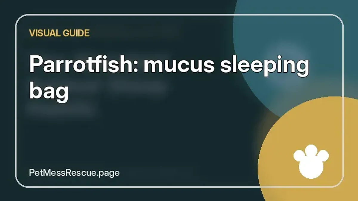 Contextual photograph of Parrotfish: mucus sleeping bag