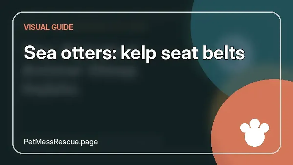 Contextual photograph of Sea otters: kelp seat belts