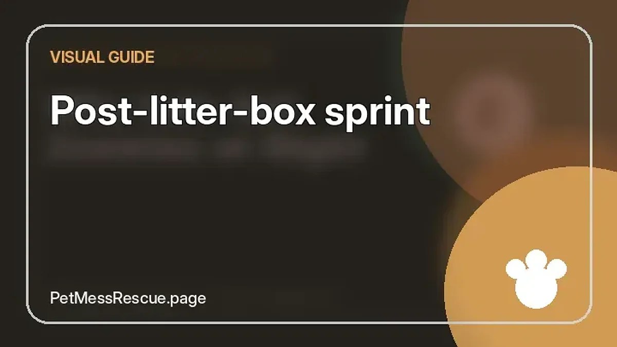 Contextual photograph of Post-litter-box sprint