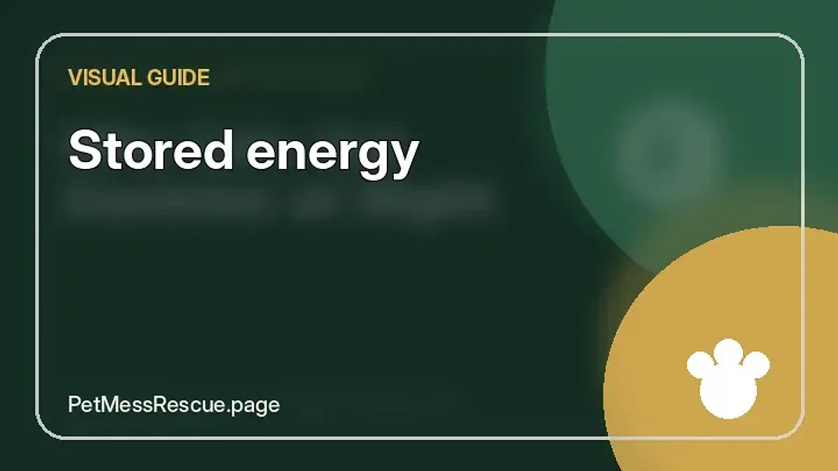 Contextual photograph of Stored energy