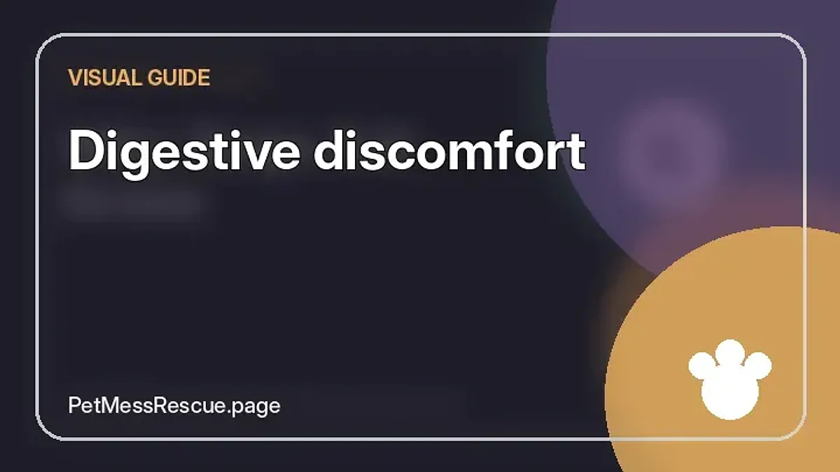 Contextual photograph of Digestive discomfort